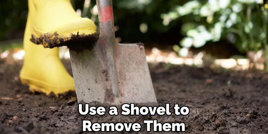 Use a Shovel to Remove Them