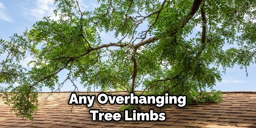 Any Overhanging Tree Limbs