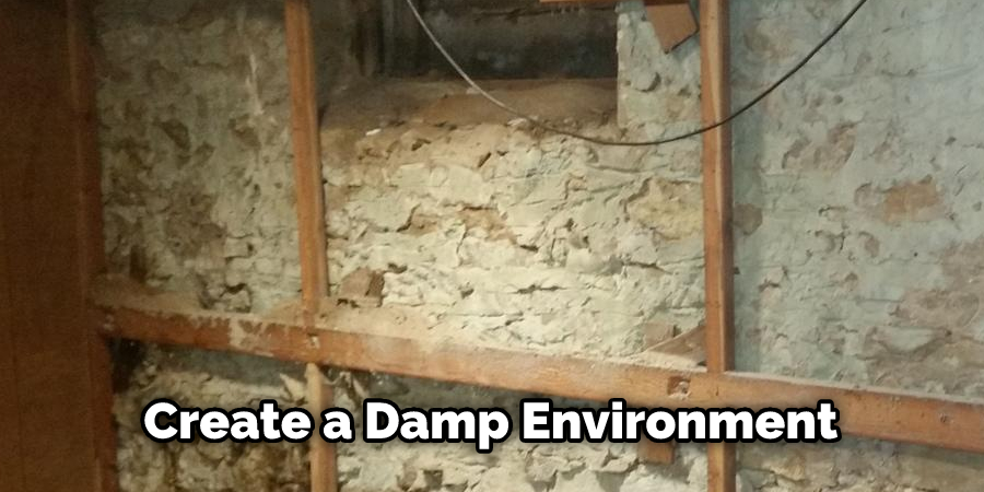 Create a Damp Environment 