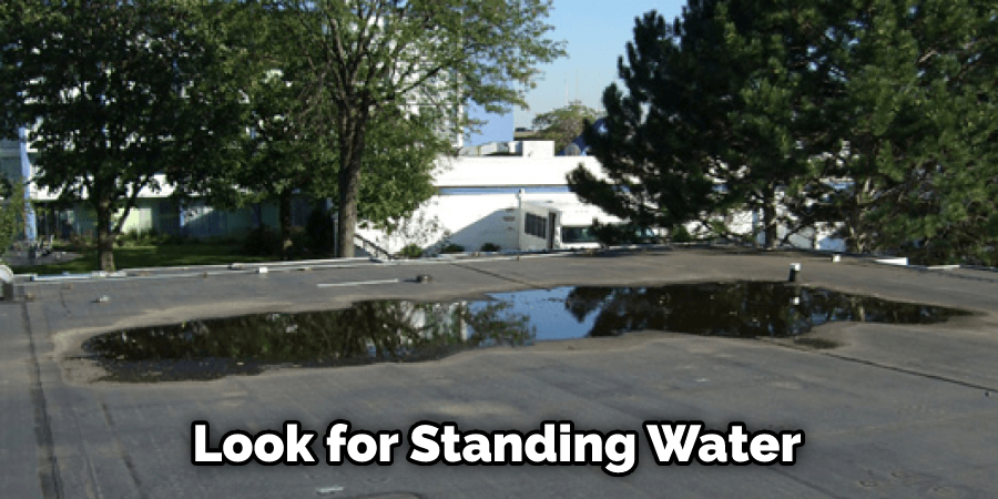 Look for Standing Water