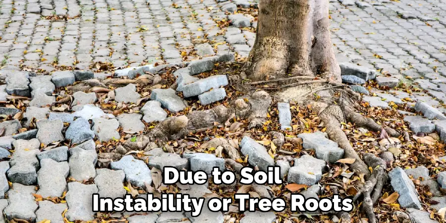 Due to Soil Instability or Tree Roots