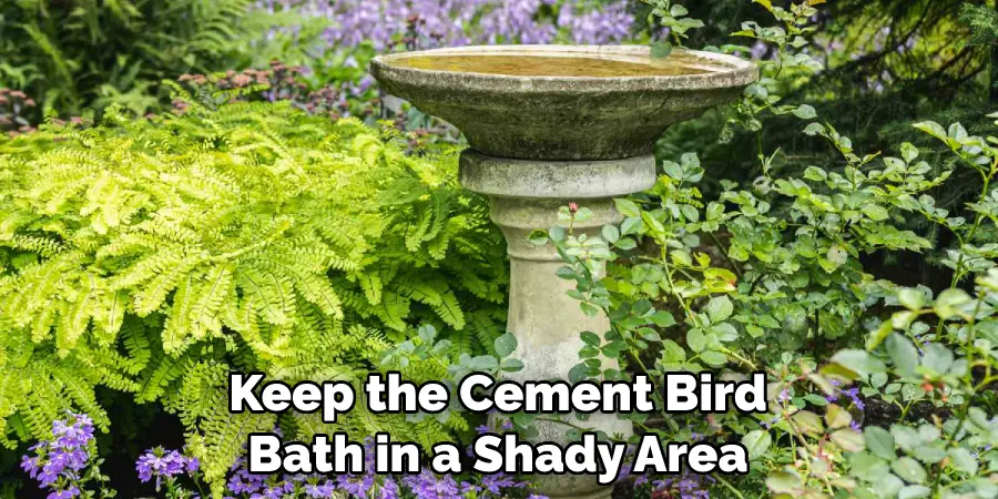 Keep the Cement Bird Bath in a Shady Area
