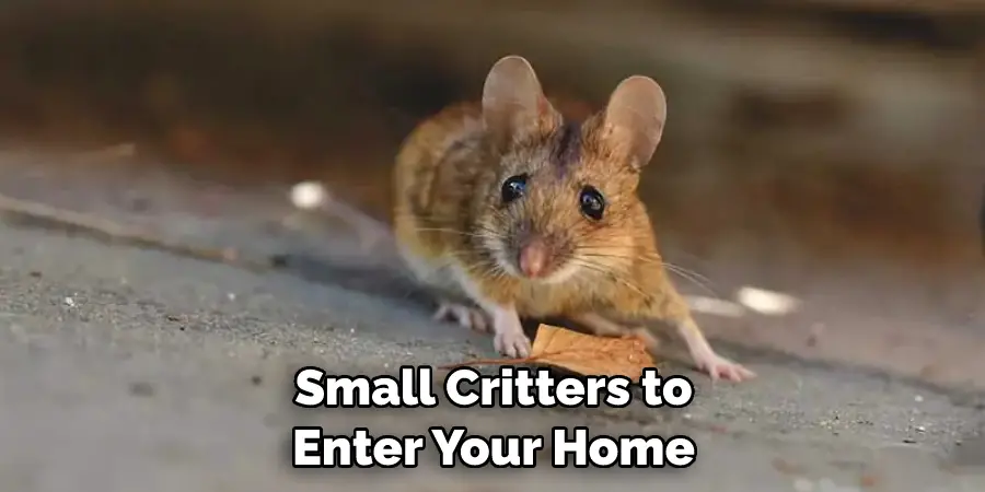 Small Critters to Enter Your Home