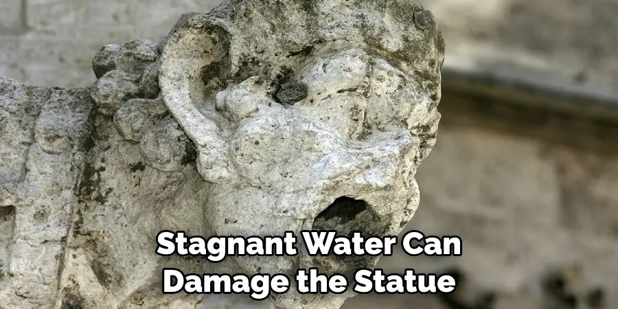 Stagnant Water Can Damage the Statue