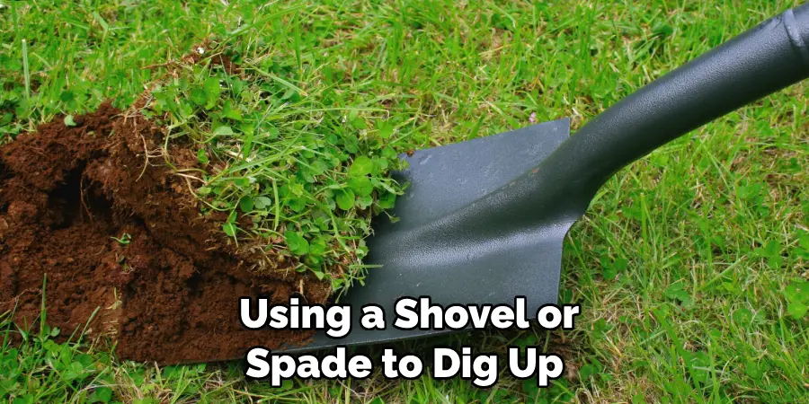 Using a Shovel or Spade to Dig Up