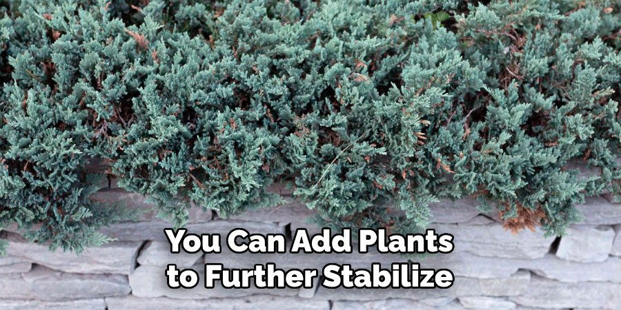  You Can Add Plants to Further Stabilize