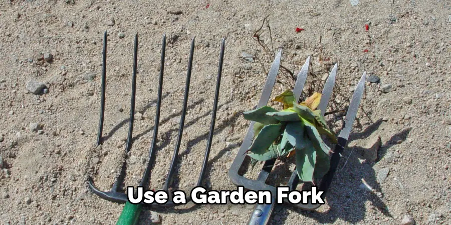 Use a Garden Fork