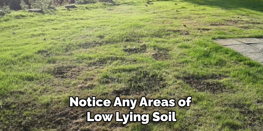 Notice Any Areas of Low Lying Soil