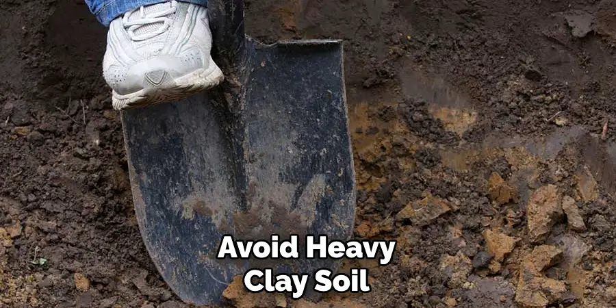 Avoid Heavy Clay Soil