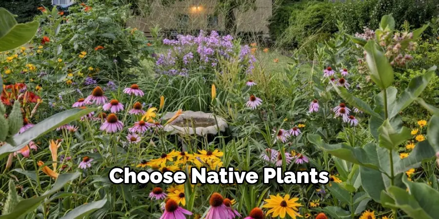 Choose Native Plants