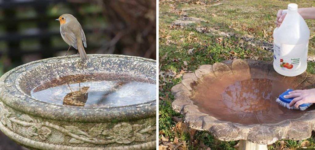 How to Seal a Concrete Bird Bath