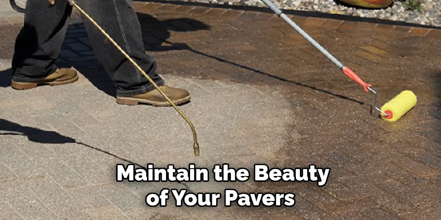  Maintain the Beauty of Your Pavers