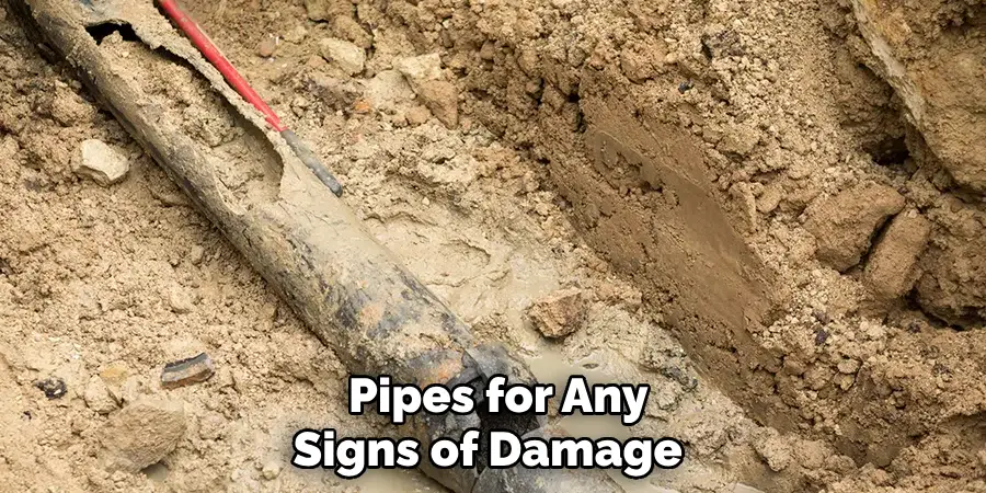  Pipes for Any Signs of Damage 