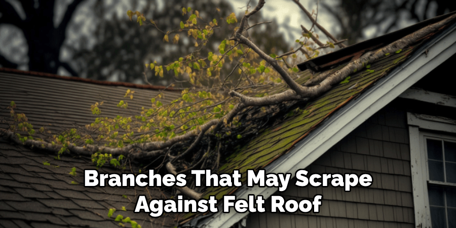 Branches That May Scrape Against Felt Roof