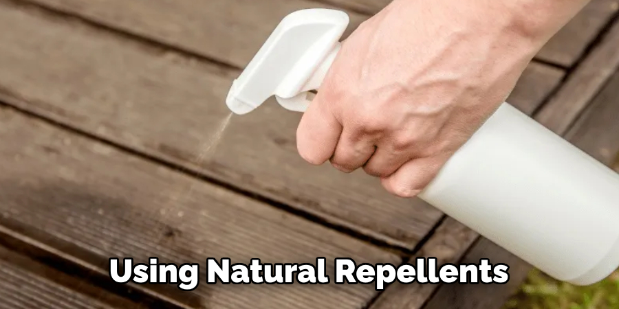 Using Natural Repellents