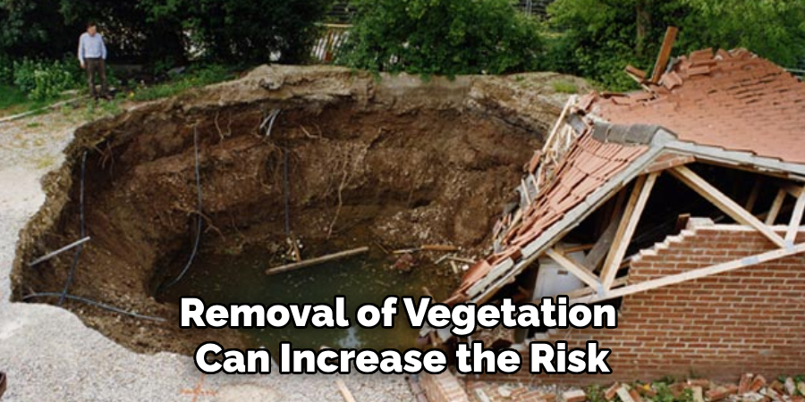 Removal of Vegetation Can Increase the Risk