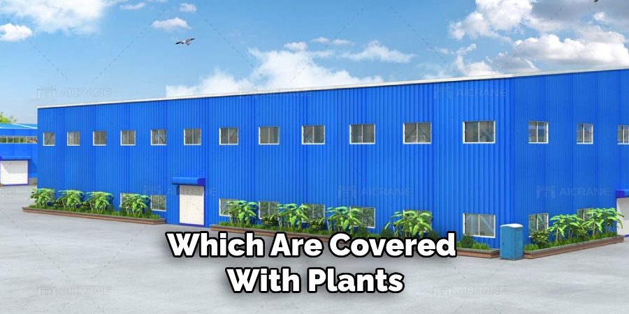 Which Are Covered With Plants