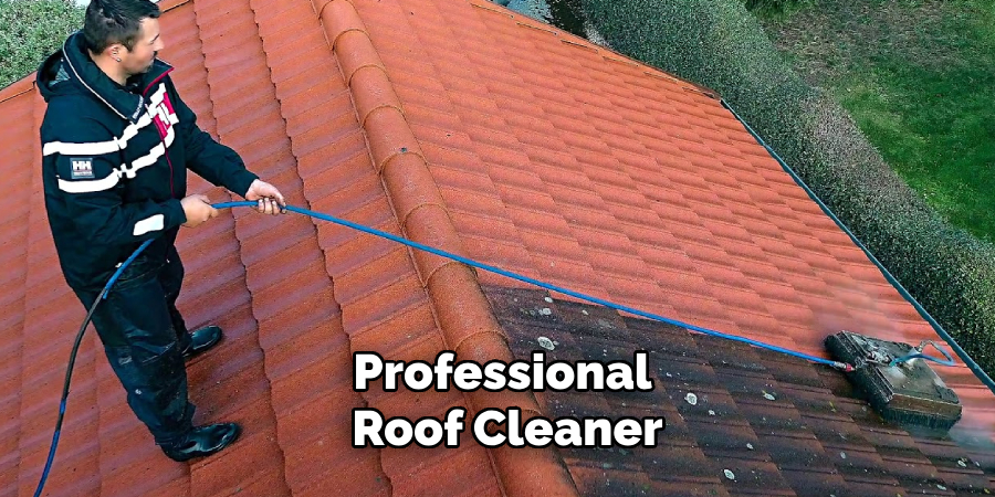 Professional Roof Cleaner