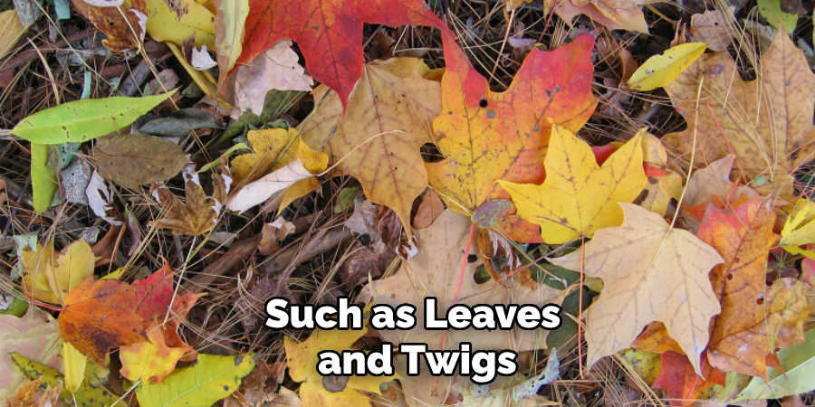 Such as Leaves and Twigs