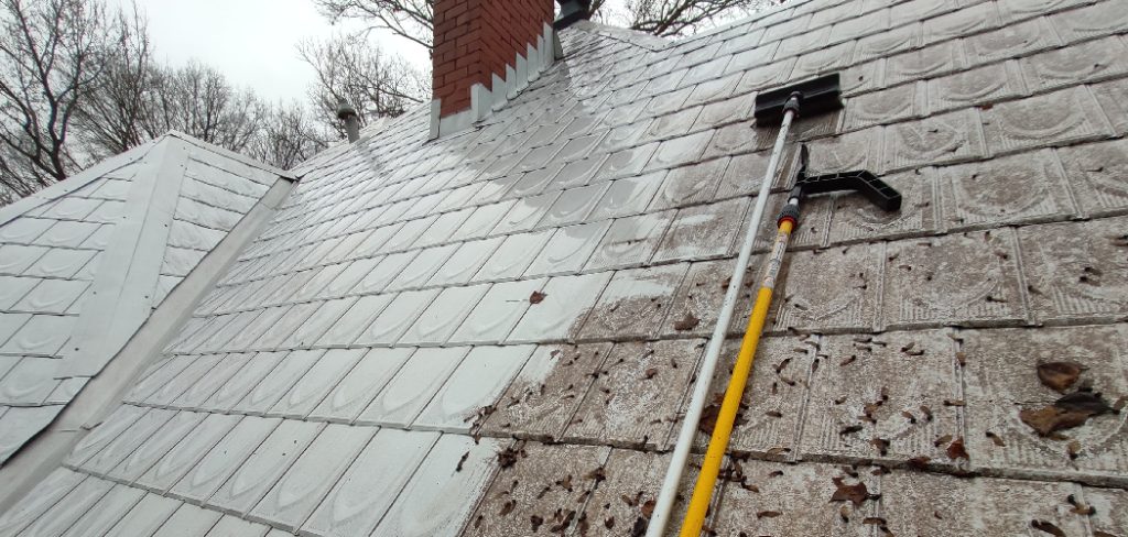 How to Remove Lichen from Roof