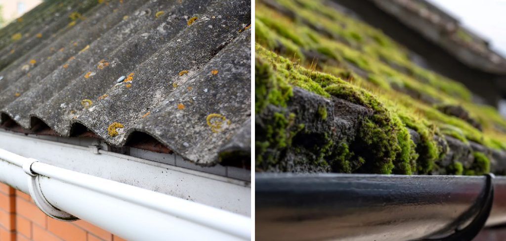 How to Remove Moss from Polycarbonate Roof