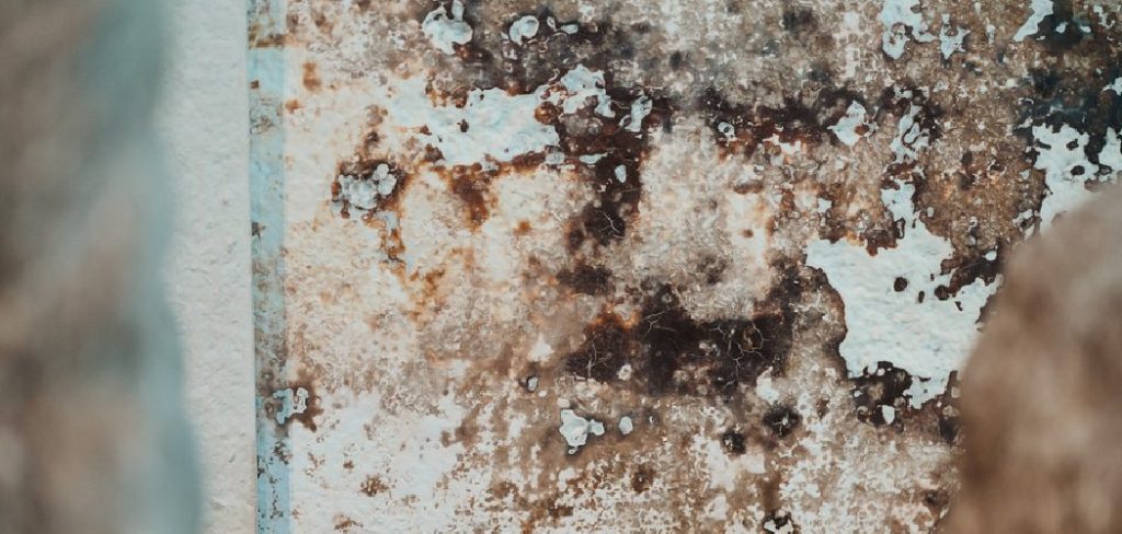 How to Treat Mold in Basement Walls