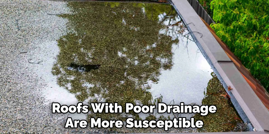 Roofs With Poor Drainage Are More Susceptible