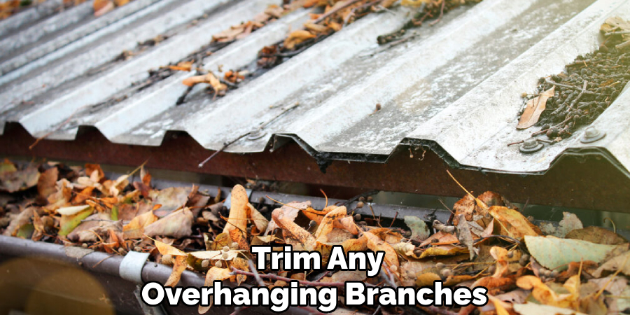 Trim Any Overhanging Branches 