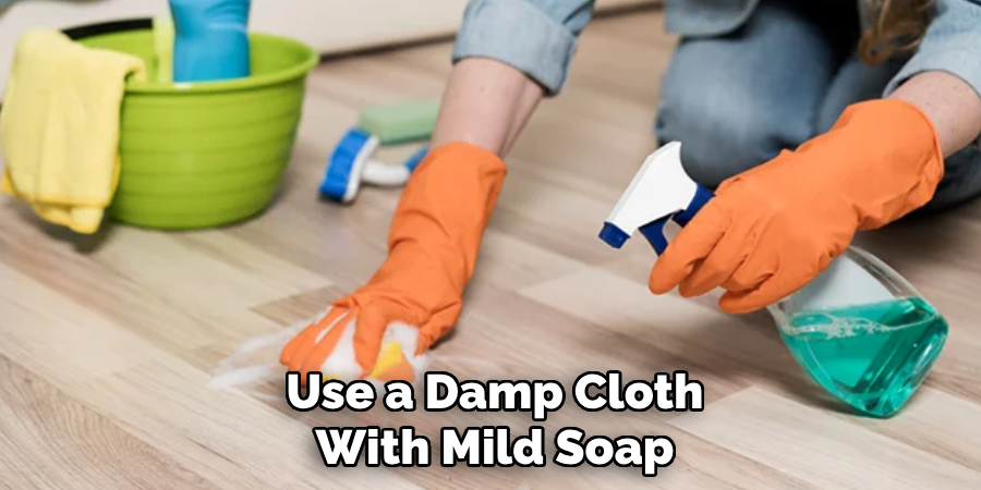 Use a Damp Cloth With Mild Soap