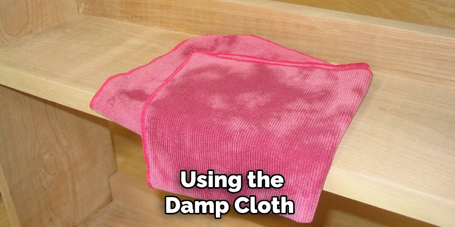  Using the Damp Cloth