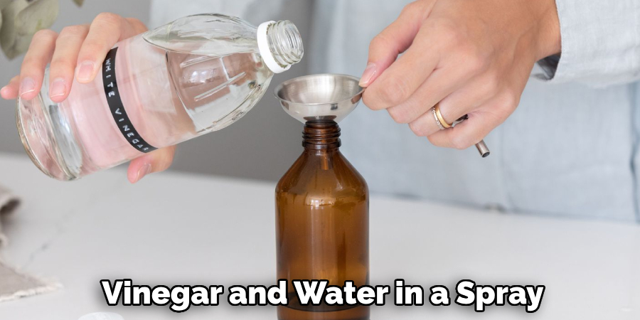 Vinegar and Water in a Spray
