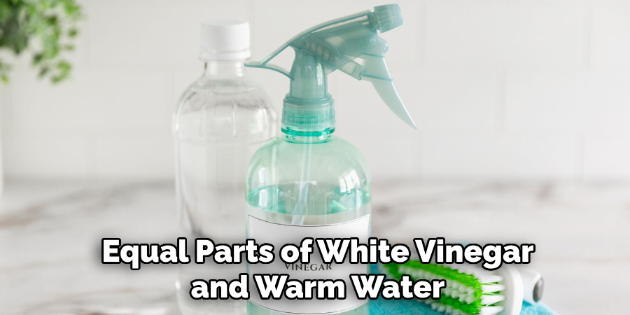 Equal Parts of White Vinegar and Warm Water