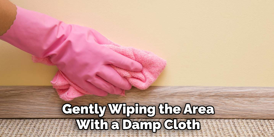 Gently Wiping the Area With a Damp Cloth