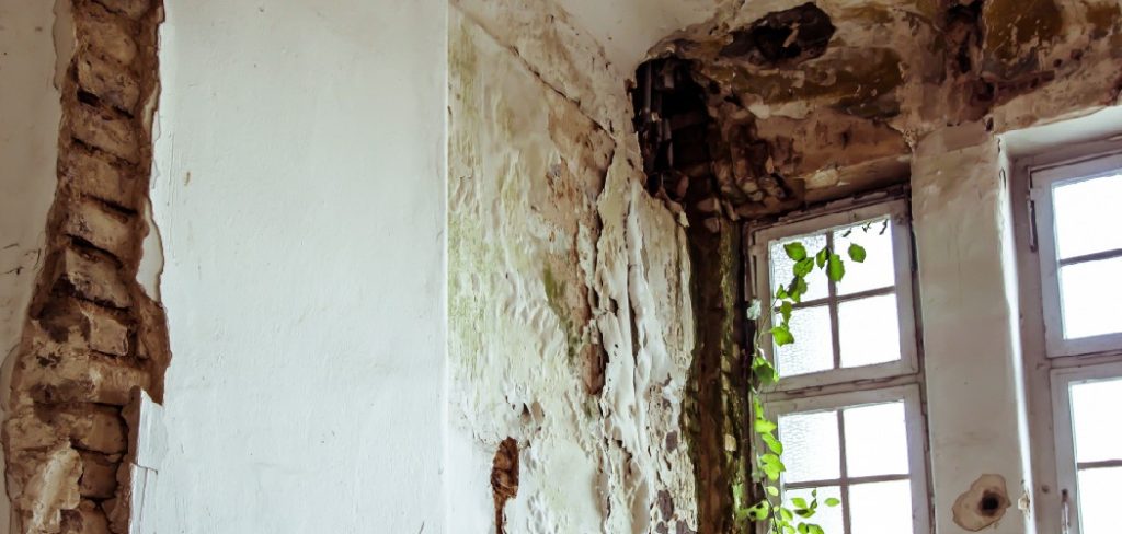 How to Clean Mould off Painted Walls