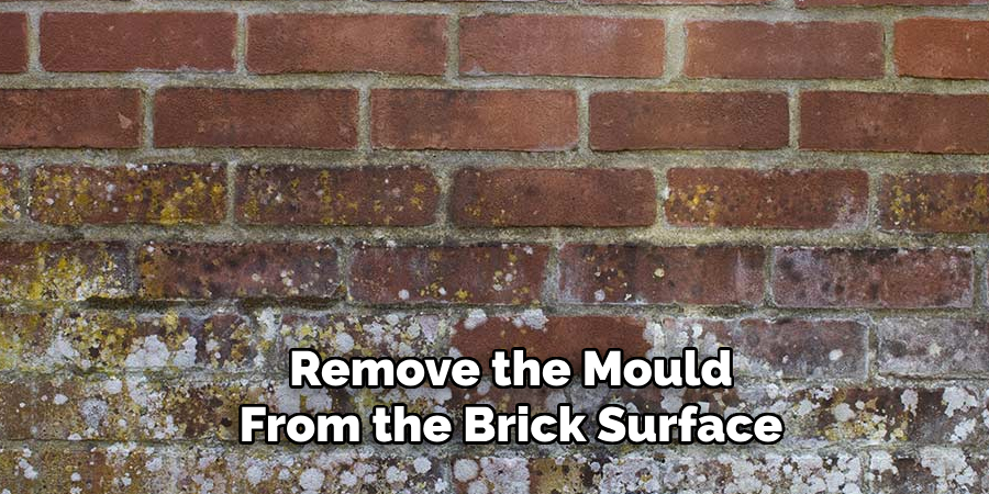 Remove the Mould From the Brick Surface