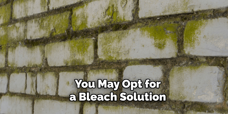 You May Opt for a Bleach Solution