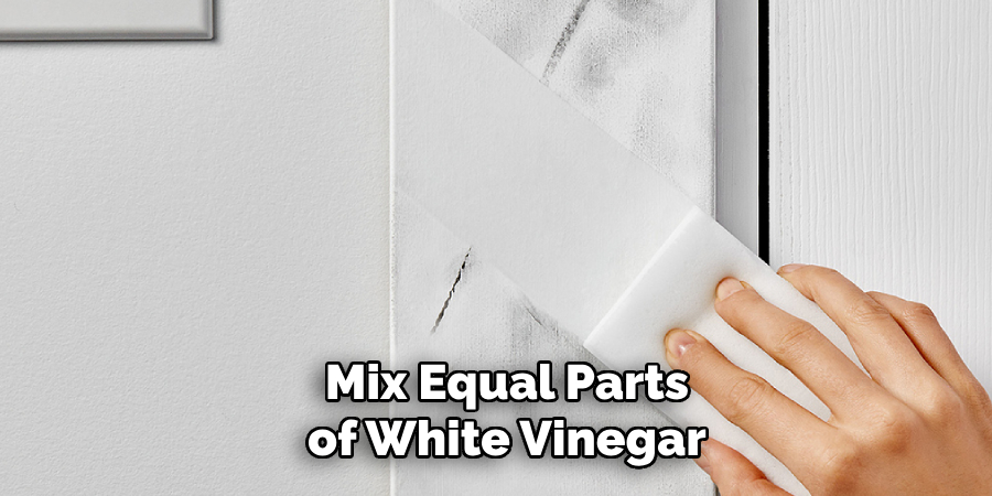 Mix Equal Parts of White Vinegar