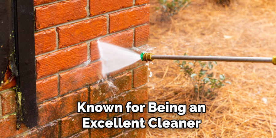 Known for Being an Excellent Cleaner