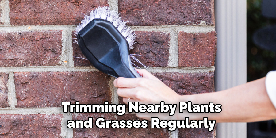 Trimming Nearby Plants and Grasses Regularly