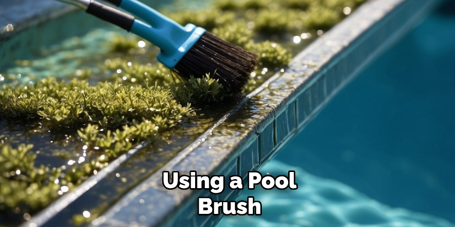 Using a Pool Brush