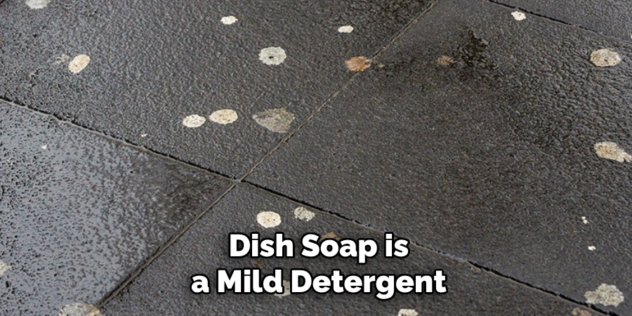 Dish Soap is a Mild Detergent
