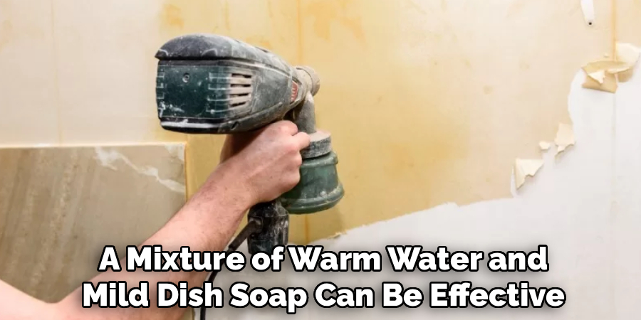 A Mixture of Warm Water and
Mild Dish Soap Can Be Effective