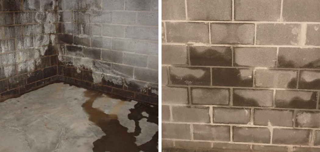 How to Fix a Leaky Foundation 5 Steps Instructions (2025)