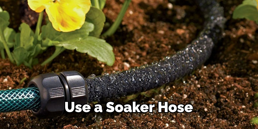 Use a Soaker Hose 