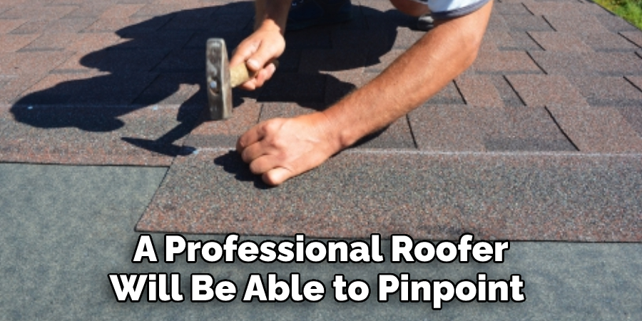 A Professional Roofer Will Be Able to Pinpoint 