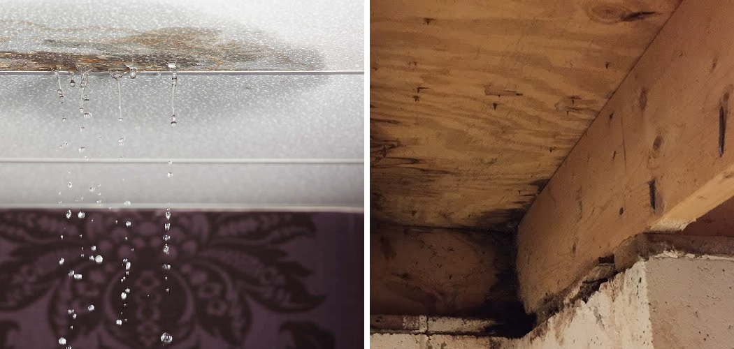 how-to-fix-leak-in-basement-ceiling-5-easy-steps-2023