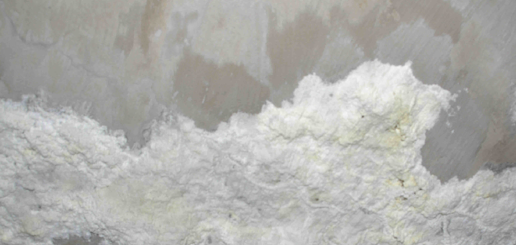 How to Stop Efflorescence on Basement Floor 4 Easy Steps (2023)