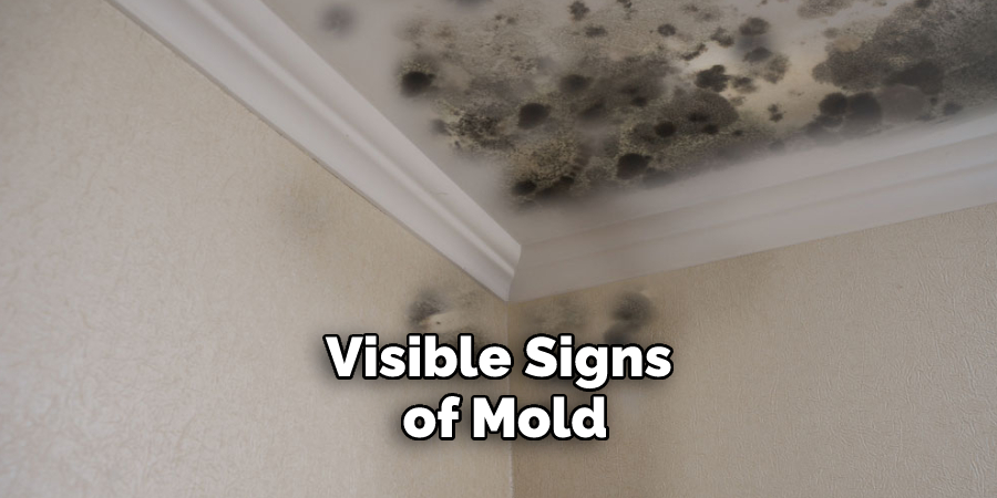 Visible Signs of Mold