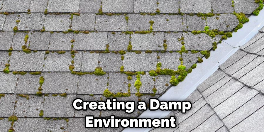 Creating a Damp Environment 