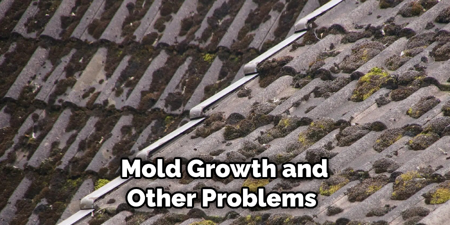 Mold Growth and Other Problems 